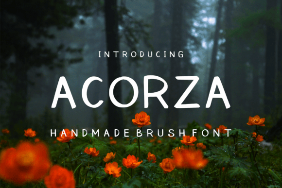 Acorza: A Handwritten Font for Creative Expression