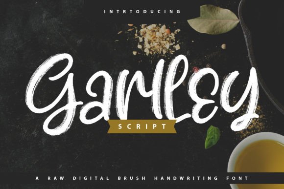 Garlley Font Review: Elevating Campaign Visuals with Style