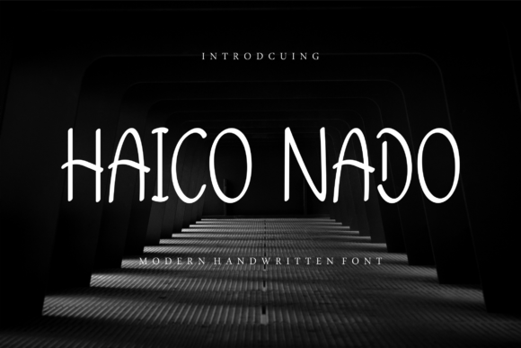 Haico Nado: A Designer's Honest Review for Branding