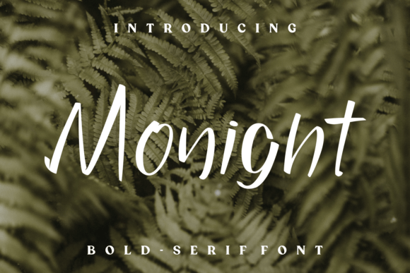 Monight: A Handwritten Font for Editorial Elegance