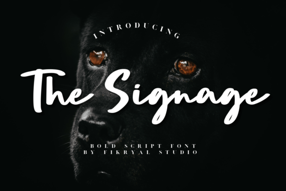 The Signage: A Bold Script Font for Crafters